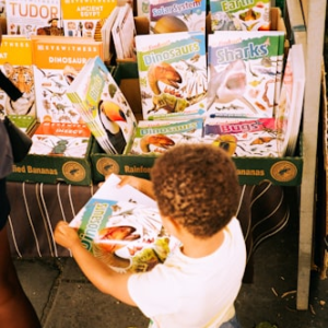 Global Markets Overview 2023