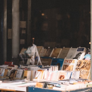 Portfolio Management Techniques